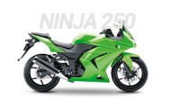 Kawasaki Ninja 250 Carenados